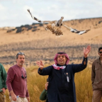 Reintroduction of the Asian Houbara Bustard to the Prince Mohammed bin Salman Reserve
