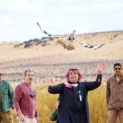 Reintroduction of the Asian Houbara Bustard to the Prince Mohammed bin Salman Reserve