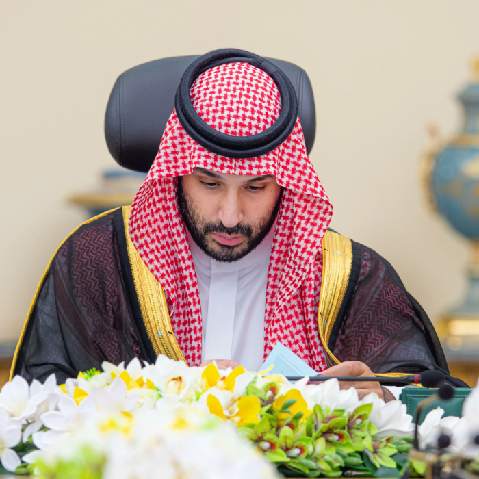 قرارات مجلس الوزراء السعودي: دعم ذوي الإعاقة وتنظيم الصقور
