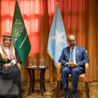 رئيس جمهورية الصومال يبحث التعاون مع نائب وزير الخارجية