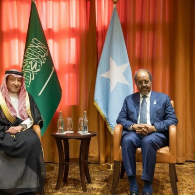 رئيس جمهورية الصومال يبحث التعاون مع نائب وزير الخارجية