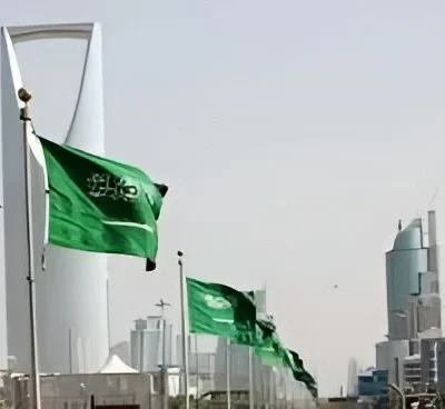 بنك البيانات الوطني يتوج السعودية بجائزة الأمم المتحدة